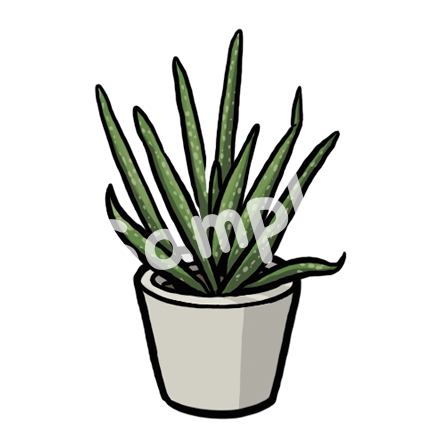 Aloe sample - SunnyDraws