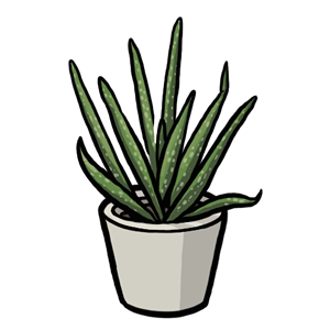 Aloe thumbnail